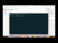 Open Terminal from Xcode
