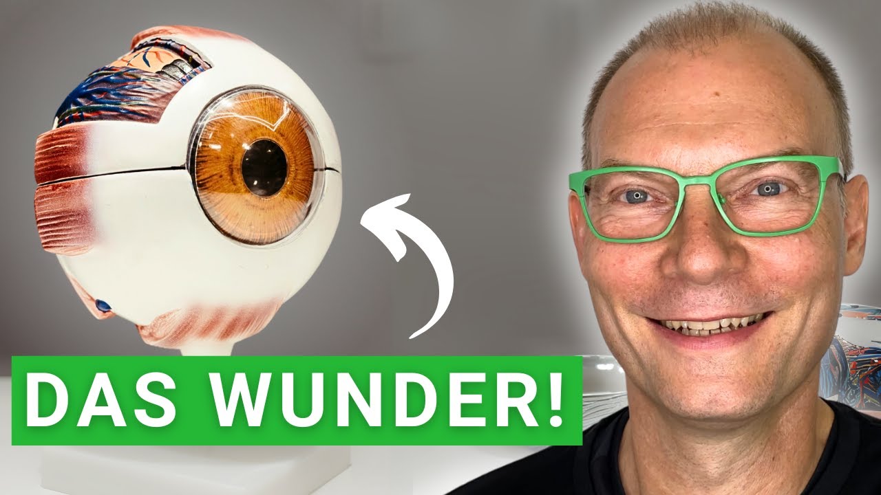 Lektion 1.1 der AugenAkademie: Das Wunder des Sehens.
