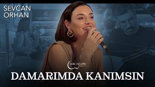 Sevcan Orhan - Damarımda Kanımsın Çok Akustik