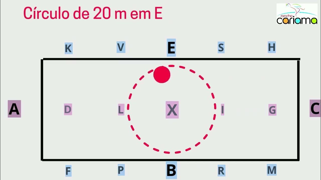 Elementar 2 2023 USEF TRAINING LEVEL TEST 2 YouTube