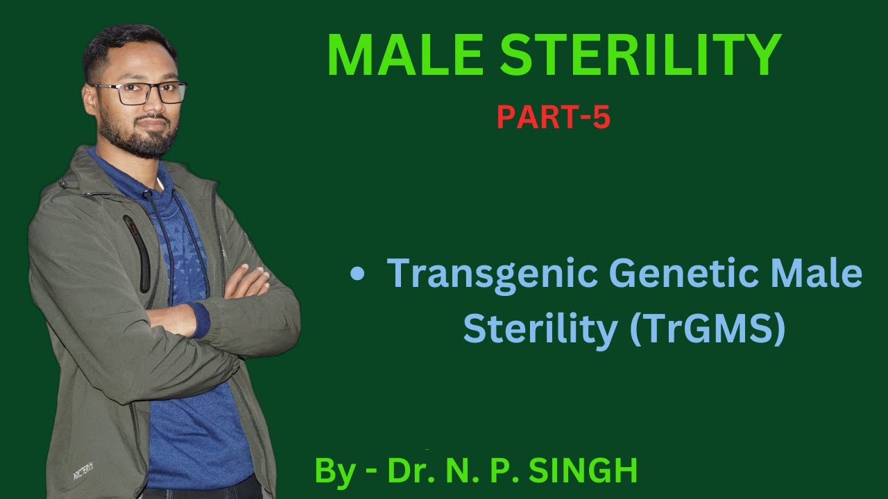 Male sterility, Transgenic male sterility (TrGMS)