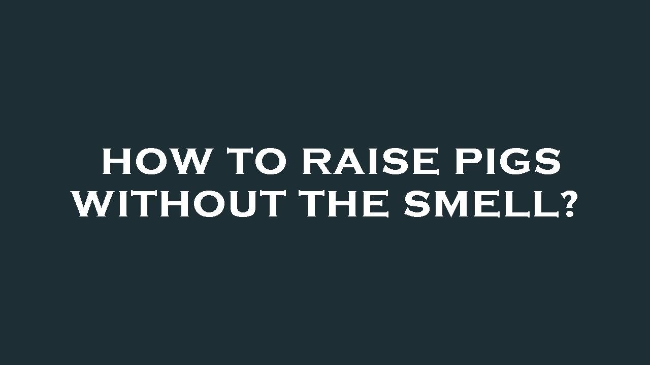 How to raise pigs without the smell? YouTube