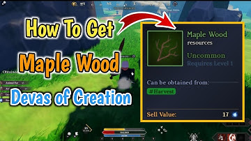 How To Get Maple Wood In Devas of Creation Roblox | Maple Wood Location