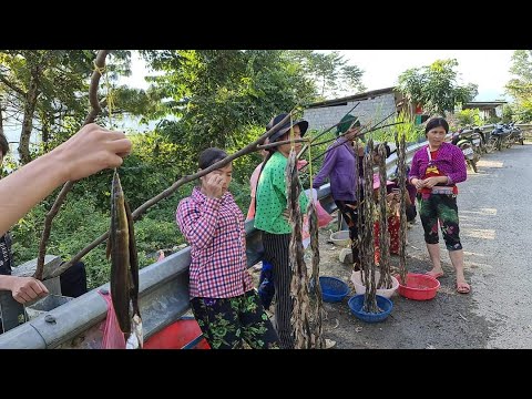 Video Đặt Sản cá xiên dài ngoằng trên Cao Nguyên Đá. Nguyễn... - youtube