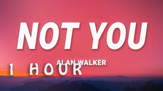 [ 1 HOUR ] Alan Walker - Not You (Lyrics) ft Emma Steinbakken