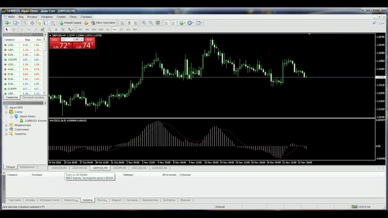 magna binary options