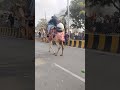 महाकुंभ में ऊंट पर बैठकर जाते भक्त #shorts #video #