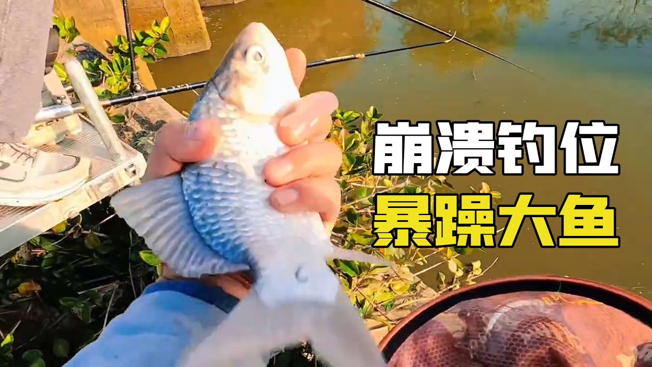 噩夢開局空軍到崩潰！擺爛甩杆遇暴躁魚情，原因意想不到！