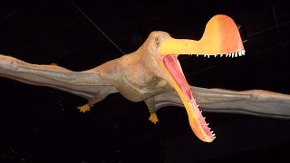 Pterosaurs: Flight in the Age of  Dinosaurs