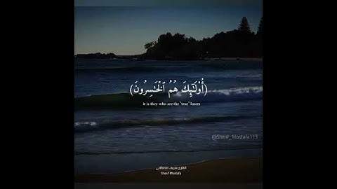 ما تيسر من سوره العنكبوت القارئ شريف مصطفى حالات واتس اب❤.