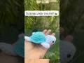 Mini Turtle Amigurumi |DM to order