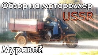Обзор мотороллера муравей
