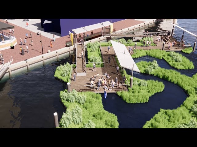 Floating Wetlands in Baltimore's Inner Harbor