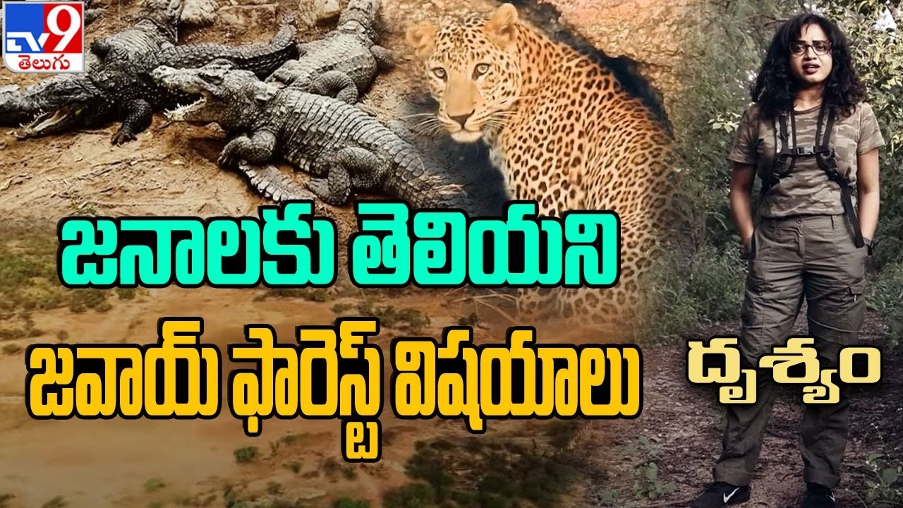 జనాలకు తెలియని జవాయ్ ఫారెస్ట్ విషయాలు || Jawai Forest  || Drishyam | Episode 2 |  - TV9