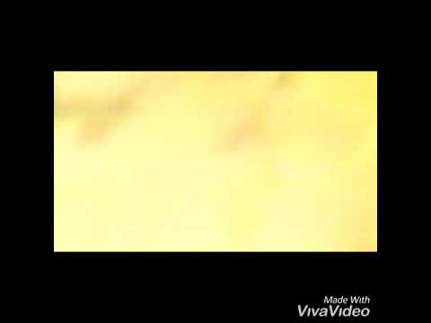 انتفاضة ٦شباط لغة الرصاص