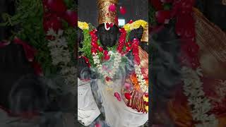 arathi seva sradha sanrakshana laksmi narayana perumal #saturday #devotional #spritual #prayer #god