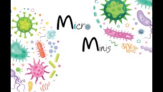MICRB265 - Micro Minis: Mini Micros
