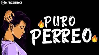 PURO PERREO #9🔥 |BRASILERO 2019| MARCOS RMX