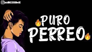 PURO PERREO #9🔥 |BRASILERO 2019| MARCOS RMX