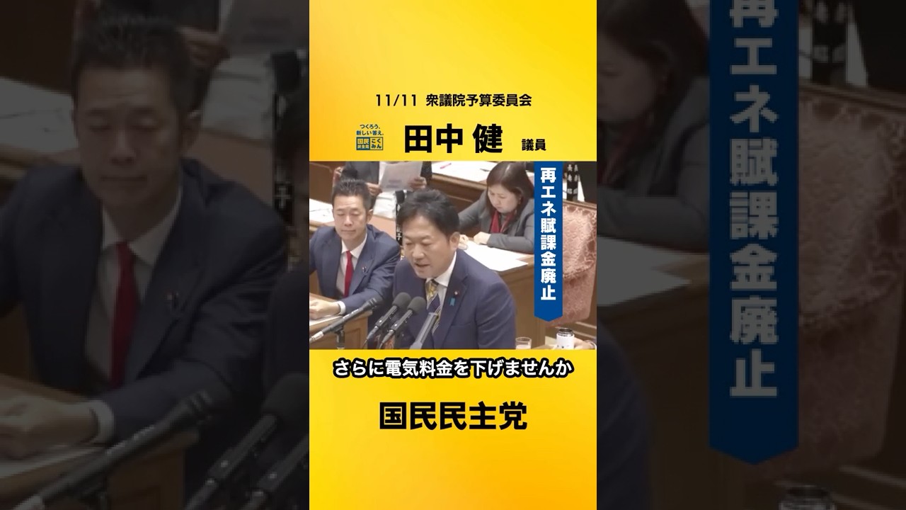 再エネ賦課金は廃止！ #国民民主党 #田中健 #衆議院予算委員会