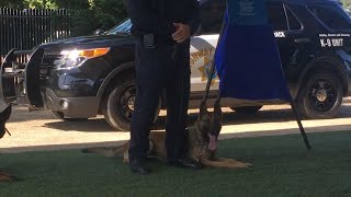 See these five new CHP canines graduate