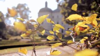 autumn 10- film footage, free download, free stock, clips, video effects