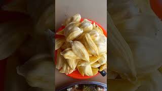Eating Jackfruit For The First Time