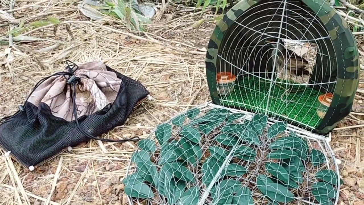 Trest lụp mới làm / Bẩy mắt xéo 