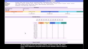 How to check web stats via Plesk 11
