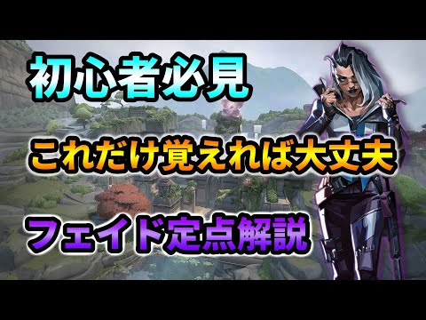 【VALORANT】初心者必見！ロータス、フェイド最強定点解説！