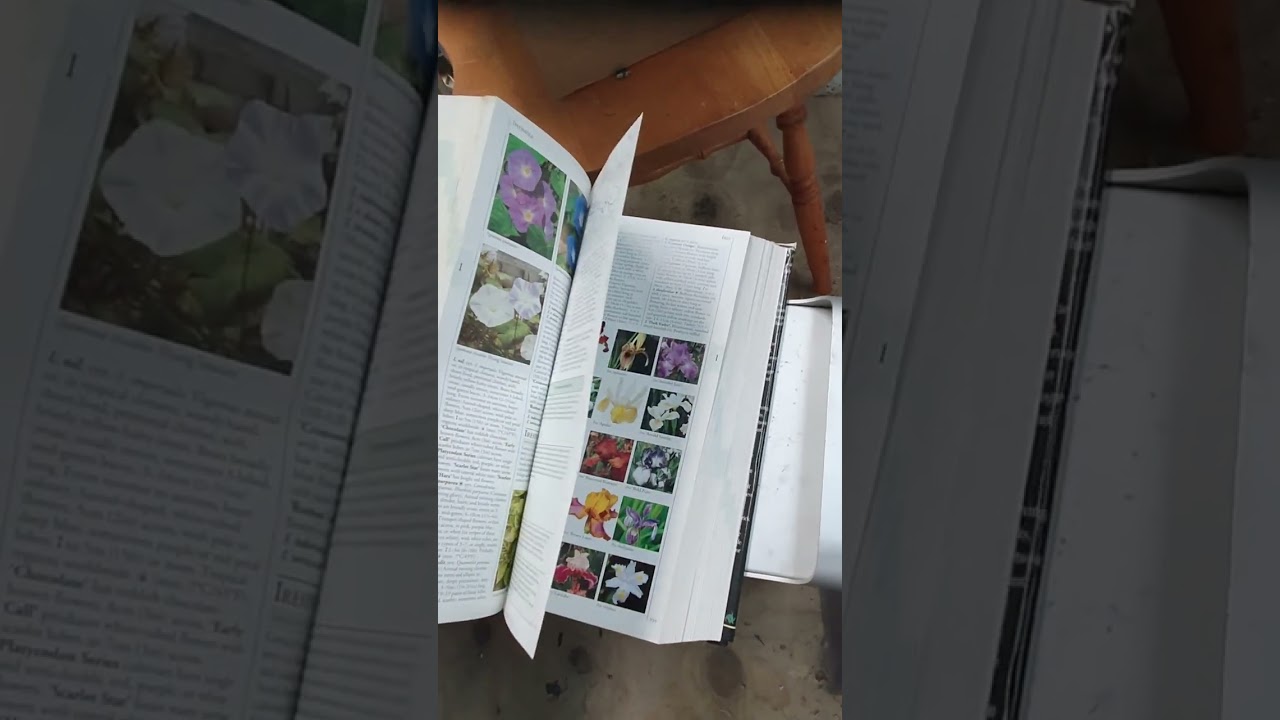 Flipping Through The Royal Horticultural Society A Z Encyclopedia of Garden Plants BOOK