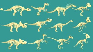 12 Dinosaur bones: T-rex, Triceratops, Stegosaurus & Ankylosaurus, Spinosaurus, Velociraptor | DK screenshot 4