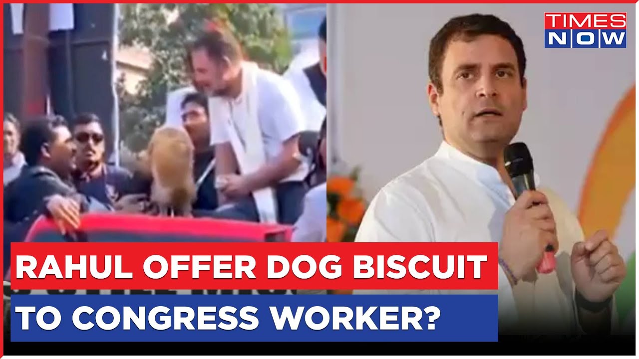 Rahul Gandhi Offers Dog Biscuit To Congress Worker During Bharat Jodo Nyay Yatra, Claims BJP