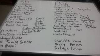 WWE DRAFT 2016 PREDICTIONS (BRAND SPLIT)