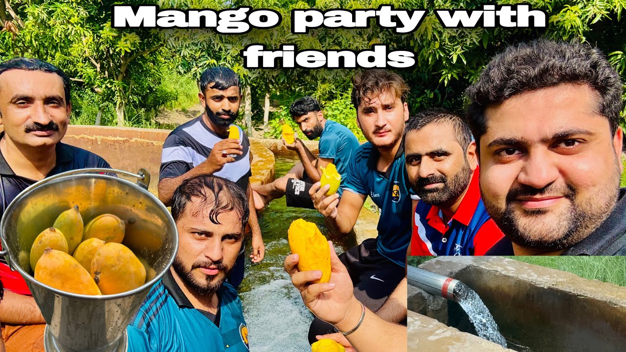 Mango party with friends🥭|| Raza Ali - YouTube