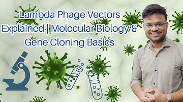 Lambda Phage Vectors Explained | Molecular Biology & Gene Cloning Basics