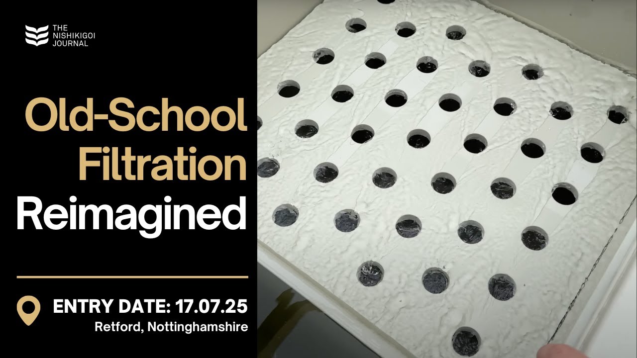 I Designed This Koi Filter From Scratch… And It Works! | T.N.J. | EP #100