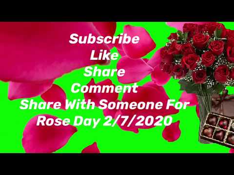 Rose Day 2020  #RoseDay  Rose Compilation  Share With Someone Special