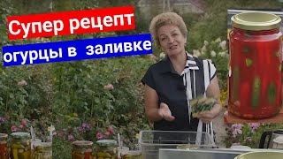 Очень вкусные огурцы в томатной заливке. Рецепт заготовок на зиму огурцов без стерилизации