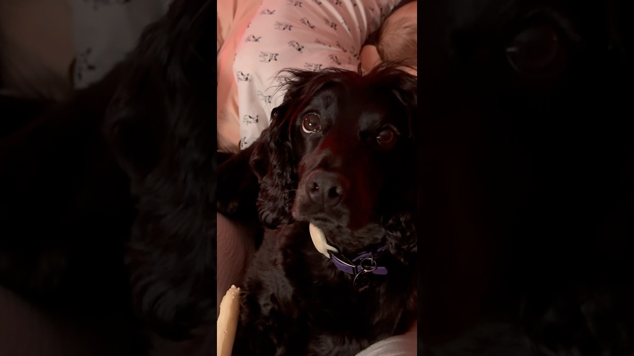 Remy is still the baby and don’t you forget it!