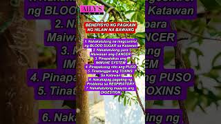 Benepisyo ng pagkain ng bawang #health #healthtips #shorts