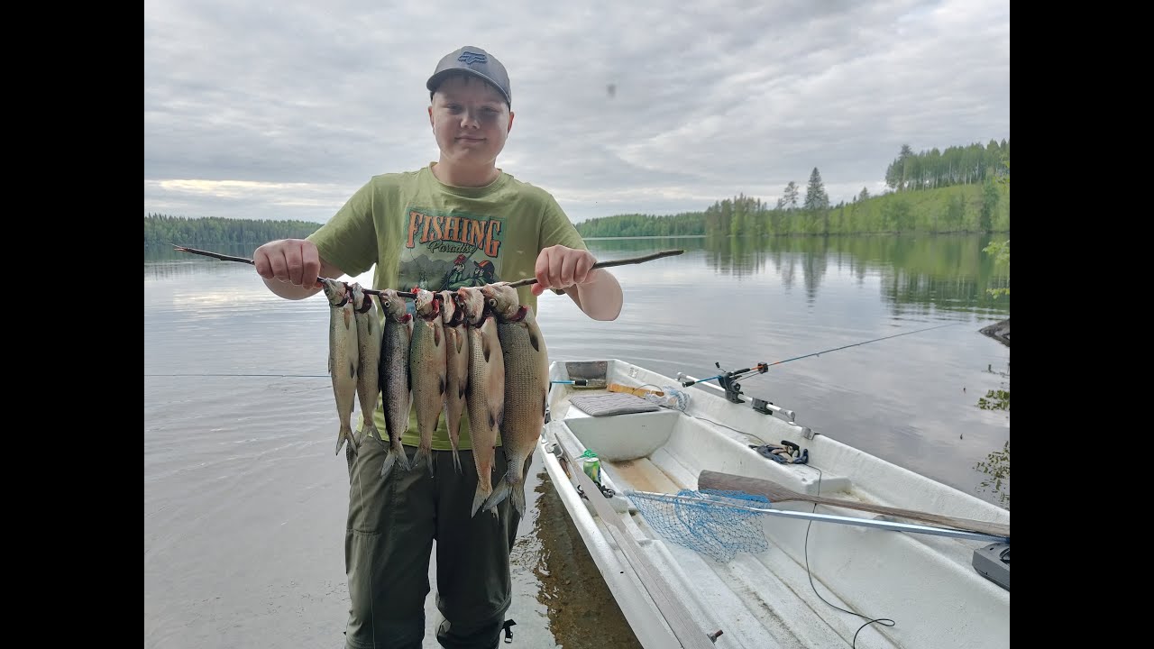 Siian soutu-uistelua juhannuksena 2025