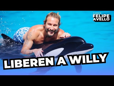 ''LIBEREN A WILLY'' - en vivo desde Dreams 2024
