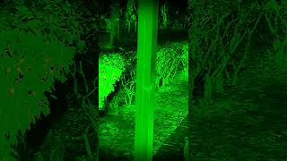 Go to sleep my moon, part 3 #deepakmachal #horrorstation #paranormal #ghostarea #realghost
