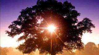 Pink Floyd Eclipse (with lyrics)
