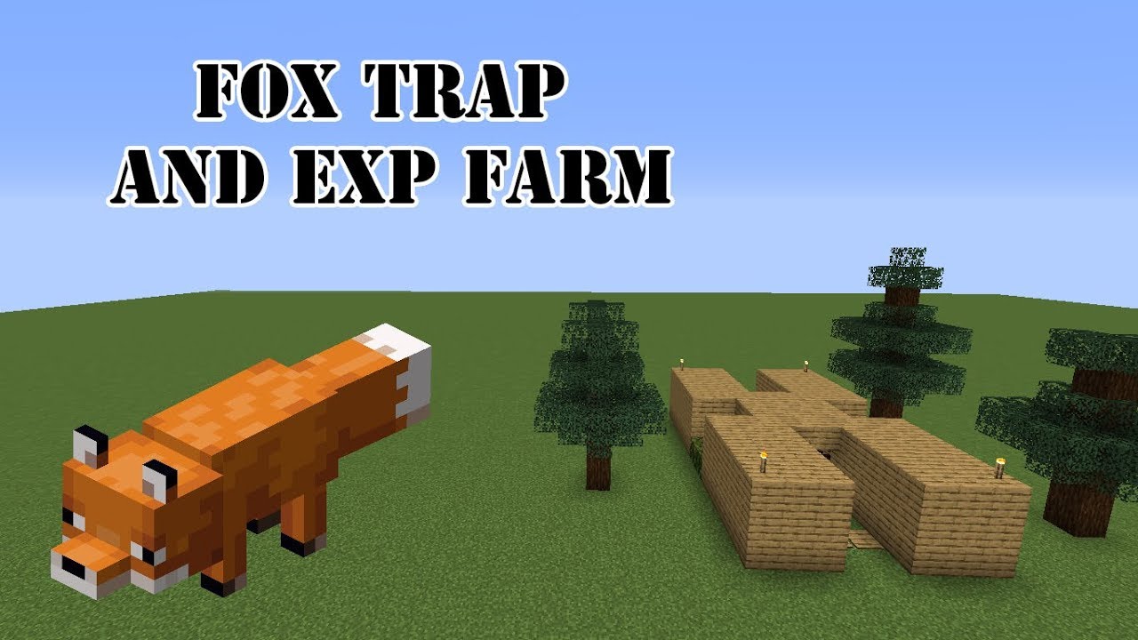 How to Make a Fox Trap and Exp Farm in Minecraft Village & Pillage PC/PE [1.14] Easy and Very