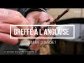 Greffe  langlaise  comment la raliser simplement 