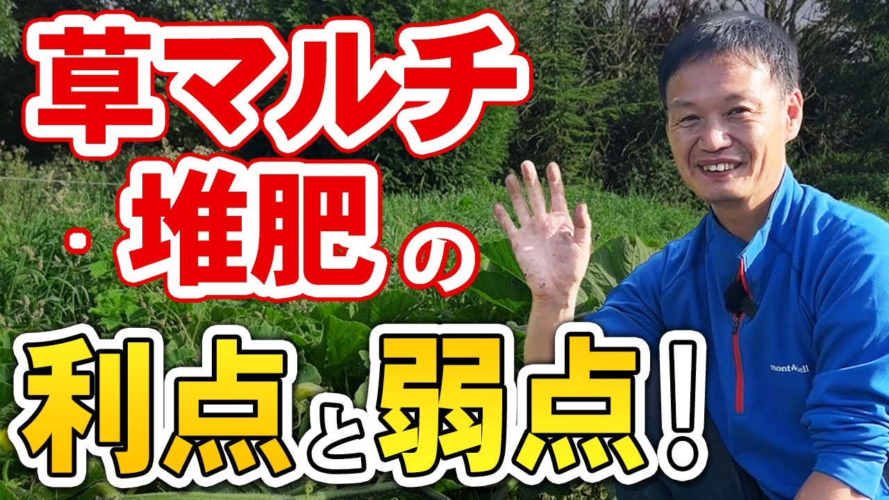 Natural Cultivation 257] Guide your cultivation to success! Grass