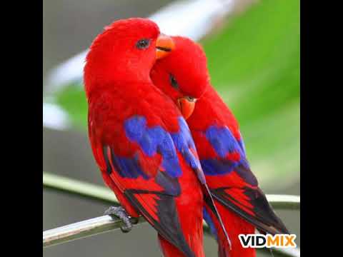 Odhni Odh Ke Nachun | Tere Naam |🌷🌸 | Dance Performed By Aarchi | #trending #youtube #viral #aarchi