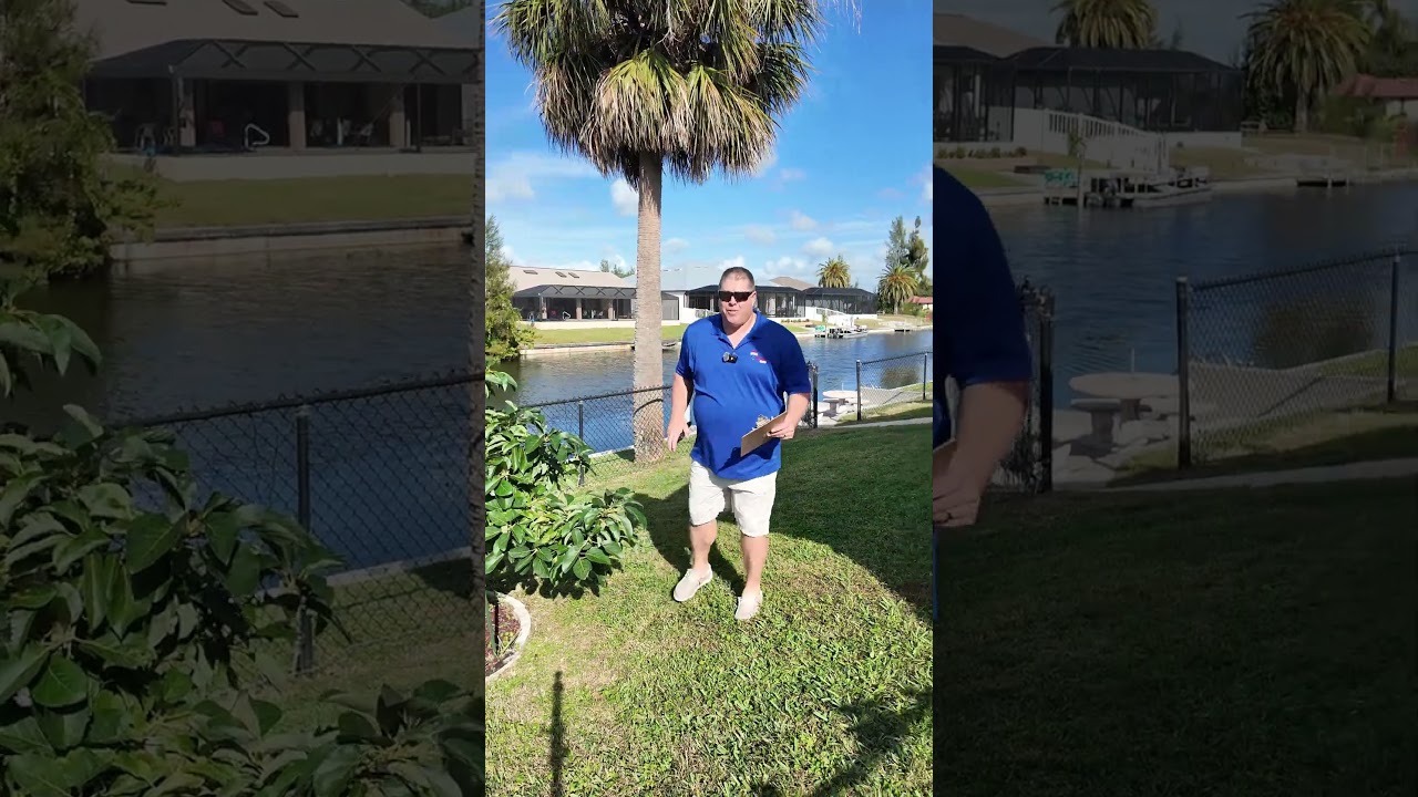 This Backyard Has a Fenced Puppy Yard AND an Avocado Tree
